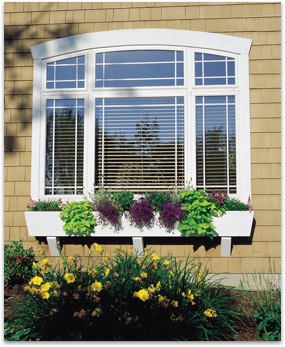 Specialty arched vinyl window